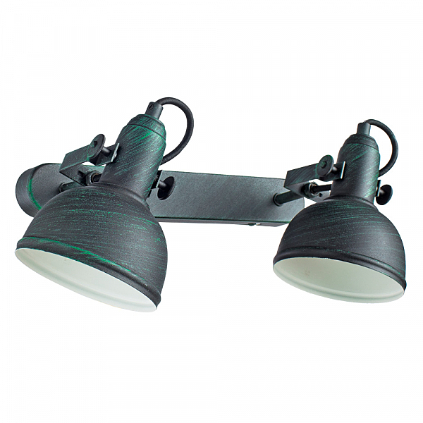 Светильник спот Arte Lamp MARTIN A5213AP-2BG