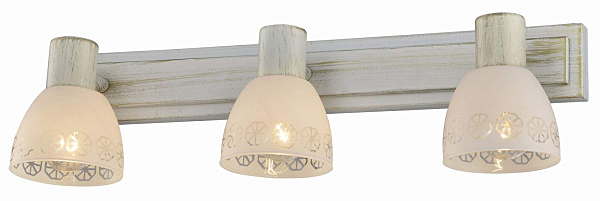 Светильник спот Toplight Shona TL3740Y-03WG