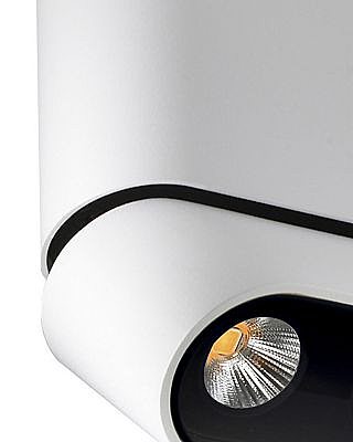 Накладной светильник Lumien Hall Фергус 8005/3CS-WT-BK