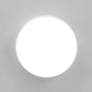 Потолочный светодиодный светильник Citilux Тао CL712180N