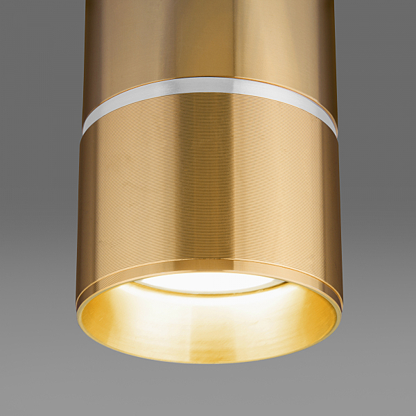 Накладной светильник Elektrostandard DLN106 DLN106 GU10 золото
