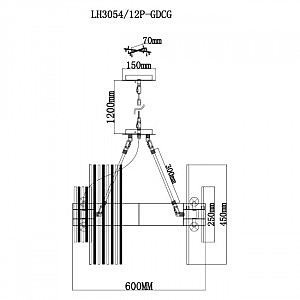 Подвесная люстра Lumien Hall Floridiya LH3054/12P-GDCG