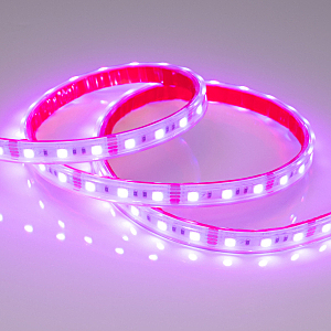 LED лента Arlight RTW герметичная 021402(2)