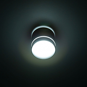 Накладной светильник Citilux Борн CL745021N