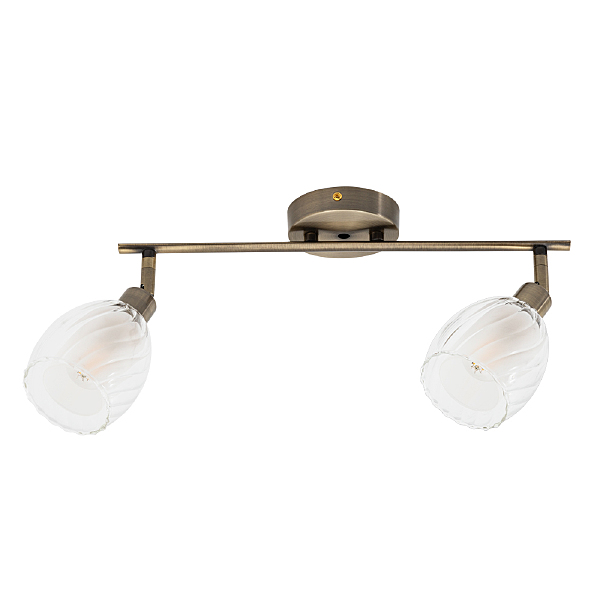 Светильник спот Arte Lamp Biham A3184PL-2AB