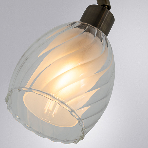 Светильник спот Arte Lamp Biham A3184PL-2AB