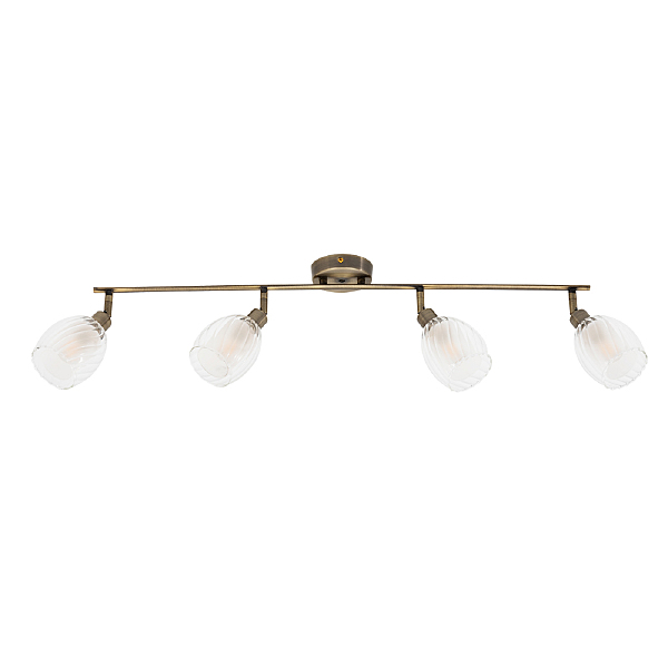 Светильник спот Arte Lamp Biham A3184PL-4AB