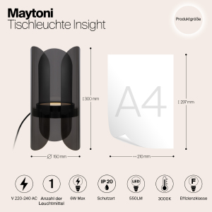 Декоративная лампа Maytoni Insight MOD416TL-L6BR3K