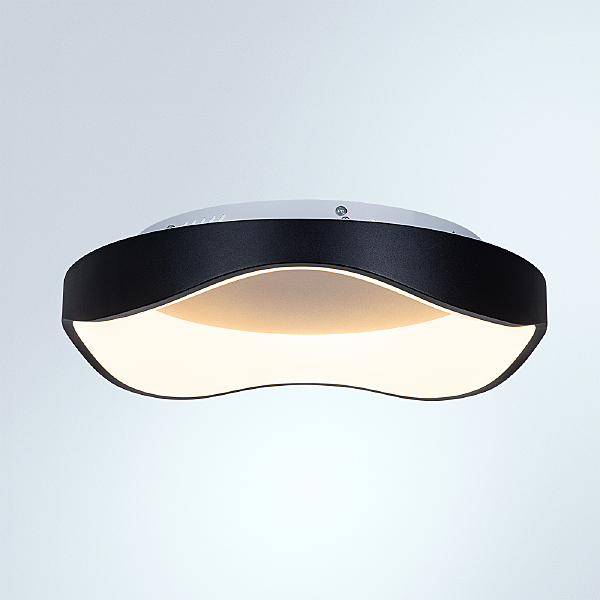 Светильник потолочный Arte Lamp Ankaa A3085PL-48BK