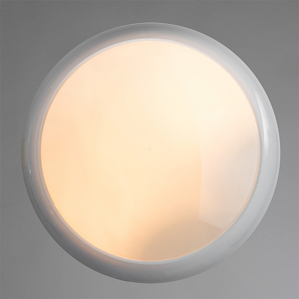 Настенно потолочный светильник Arte Lamp PORCH A4520PF-1WH